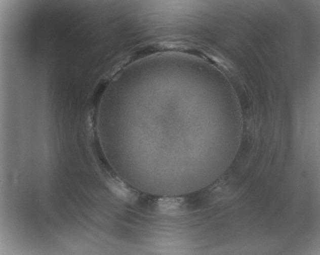 X0000071340373200606231144