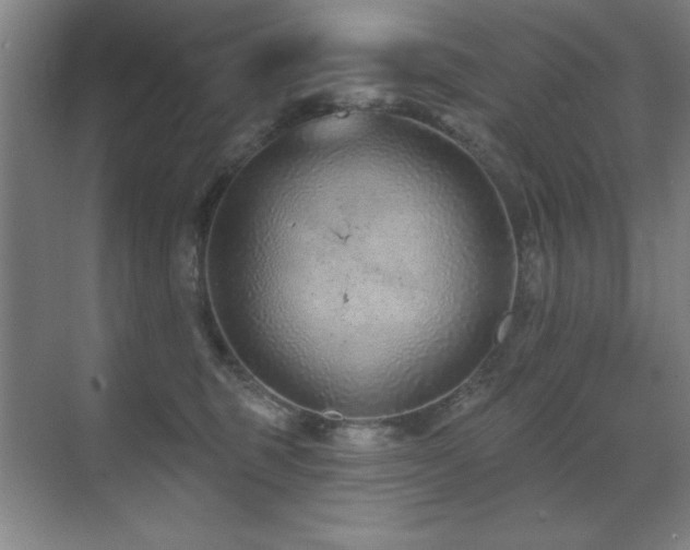 X0000071340375200606231144