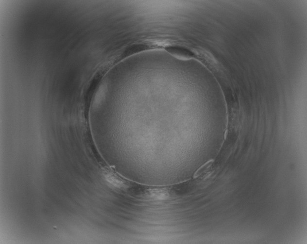 X0000071340377200606231144