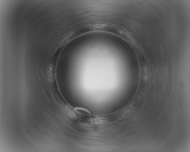 X0000071340378200606231144