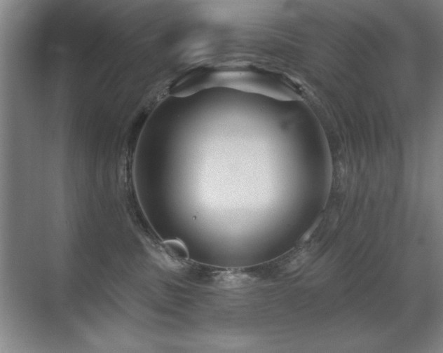 X0000071340379200606231144