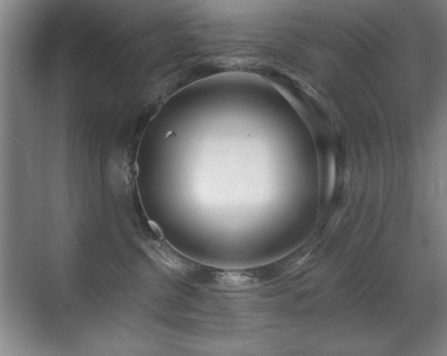 X0000071340380200606231144