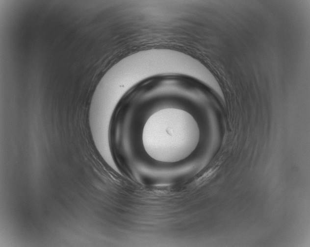 X0000071340384200606231144