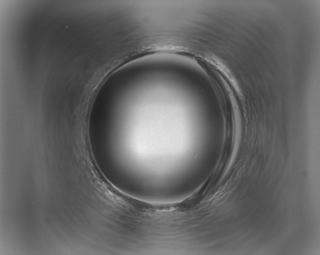 X0000071340385200606231144