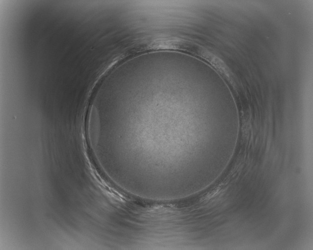 X0000071340386200606231144