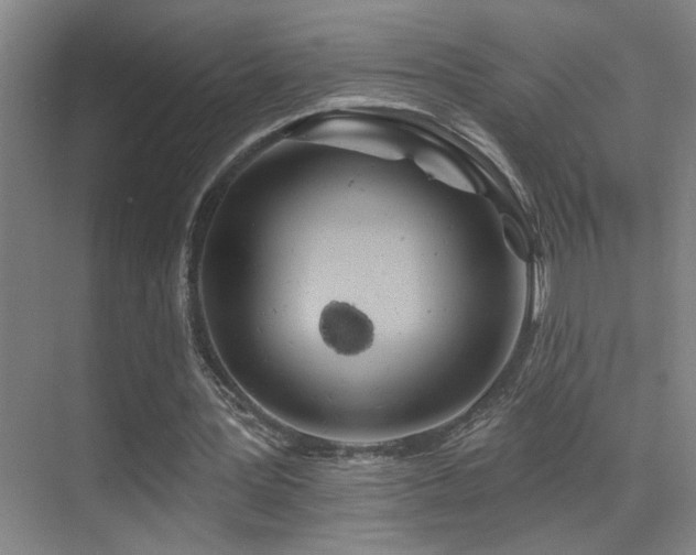 X0000071340387200606231144