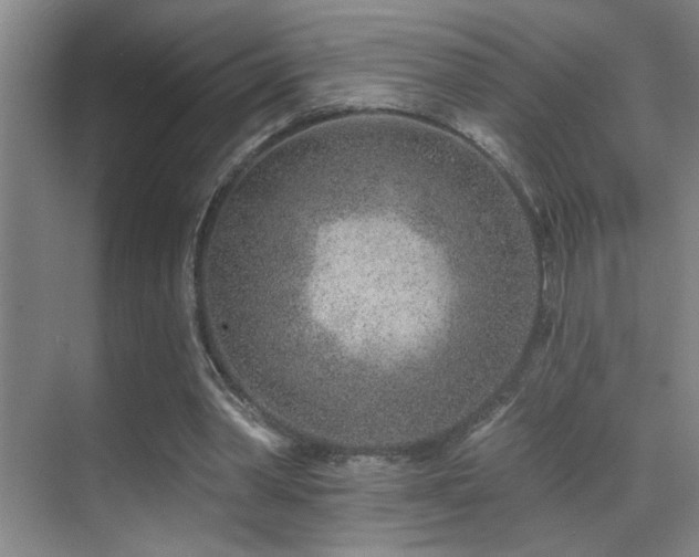 X0000071340390200606231144