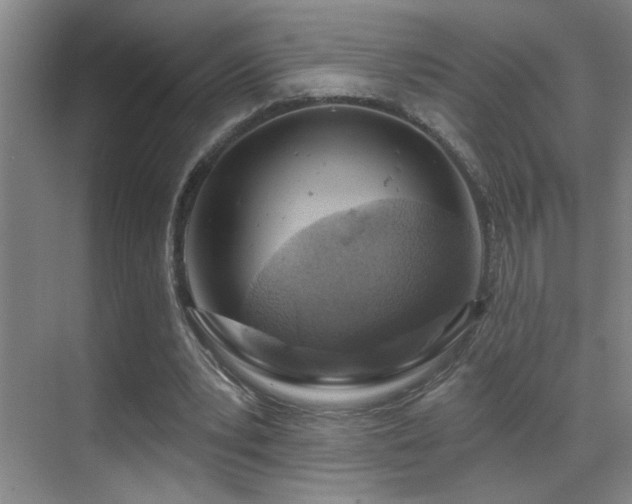 X0000071340391200606231144