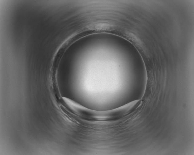 X0000071340392200606231143