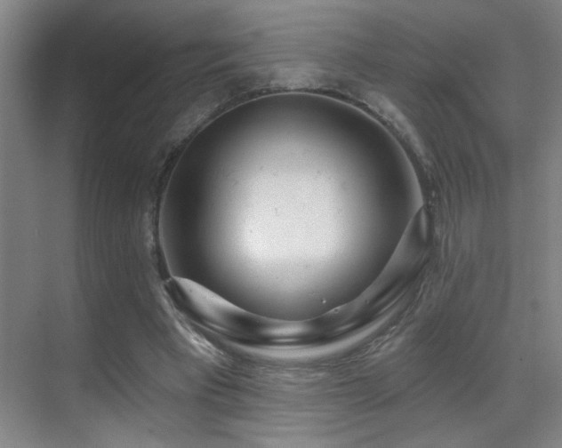 X0000071340393200606231143