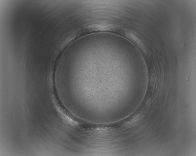 X0000071340394200606231143