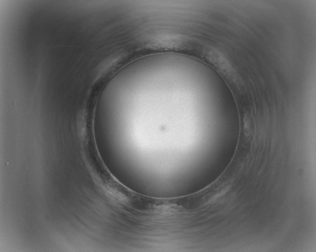 X0000071340396200606231143