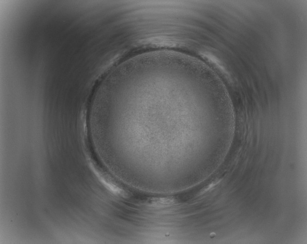 X0000071340398200606231143