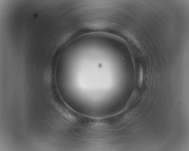 X0000071340400200606231143