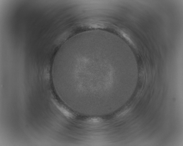 X0000071340402200606231143