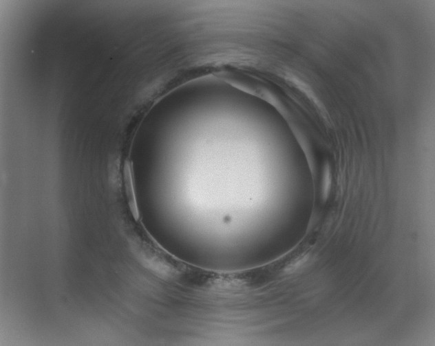 X0000071340403200606231143