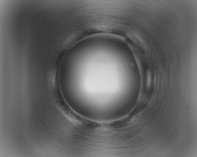 X0000071340404200606231143