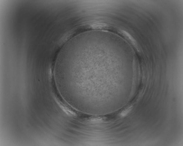 X0000071340405200606231143