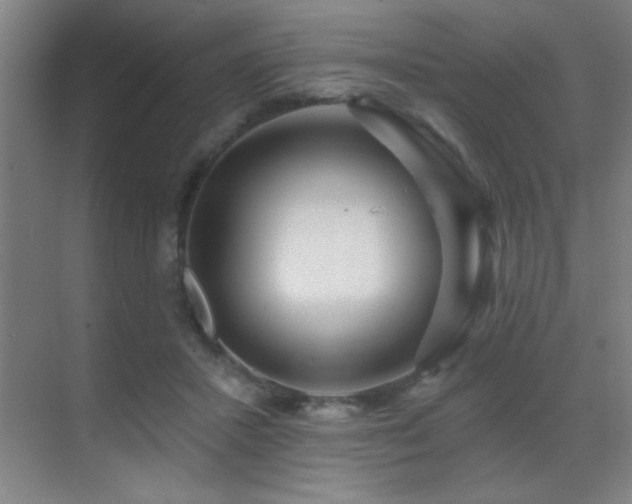 X0000071340407200606231143