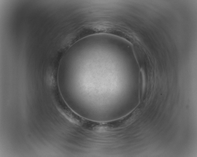 X0000071340408200606231143