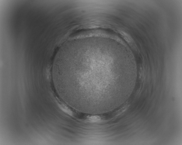 X0000071340409200606231143