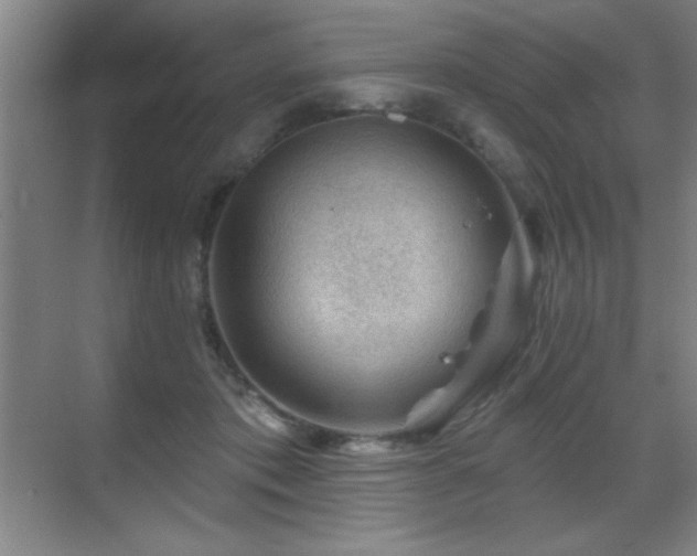 X0000071340413200606231143