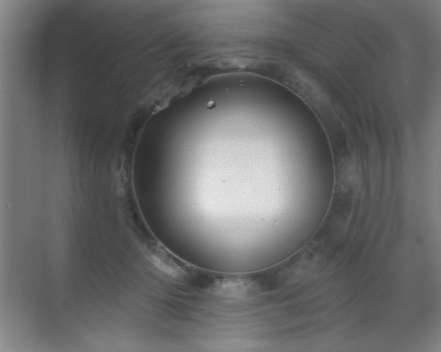 X0000071340414200606231143