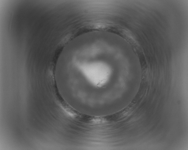 X0000071340415200606231143