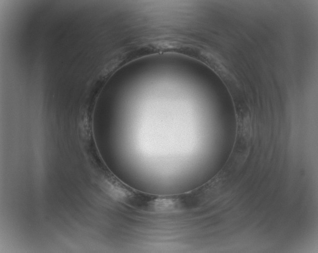 X0000071340418200606231143