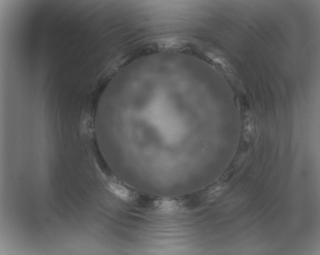 X0000071340419200606231143