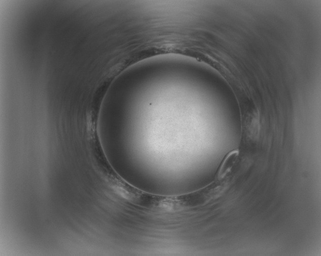 X0000071340420200606231143