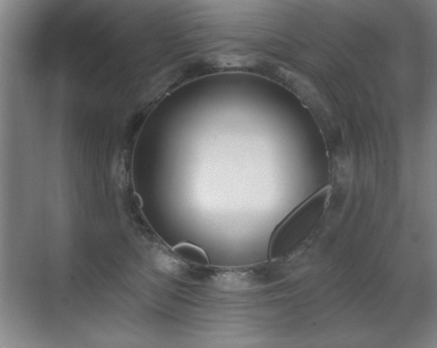 X0000071340422200606231143