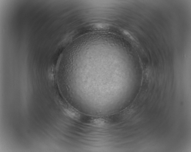 X0000071340423200606231143