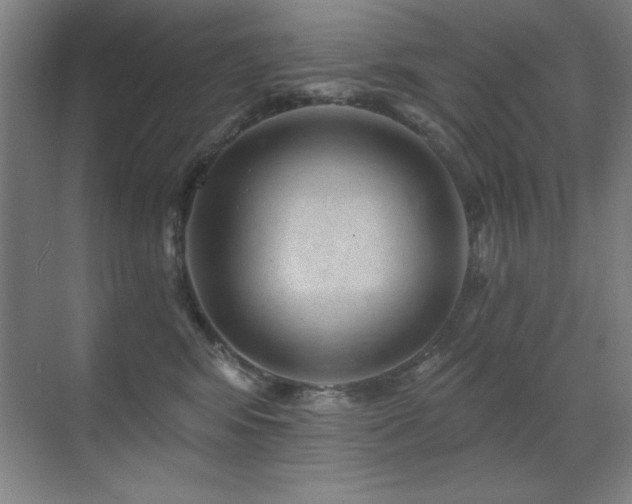 X0000071340424200606231143