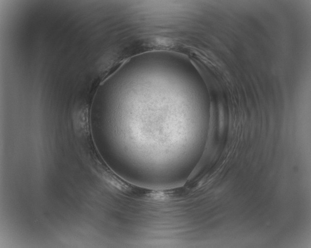 X0000071340425200606231143