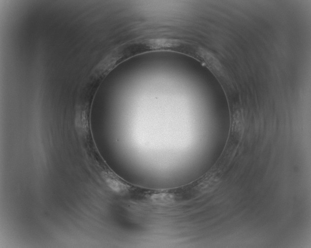 X0000071340426200606231143