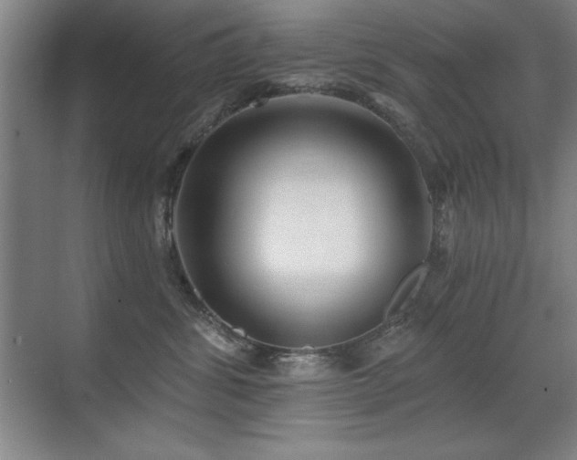 X0000071340428200606231143