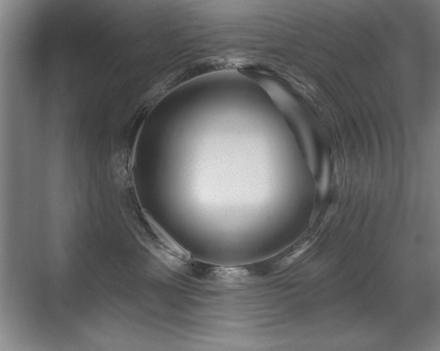 X0000071340429200606231143