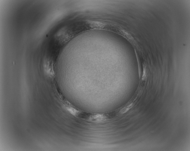 X0000071340431200606231143