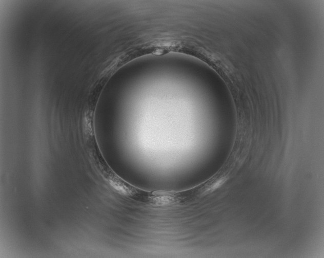 X0000071340432200606231143