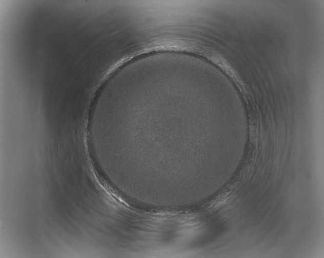 X0000071340434200606231142