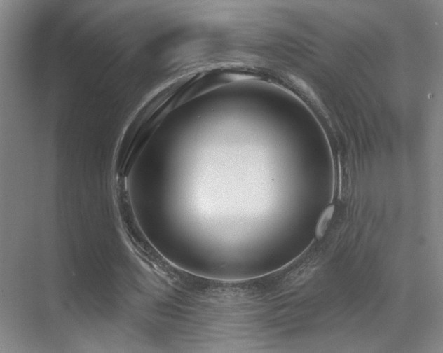 X0000071340435200606231142