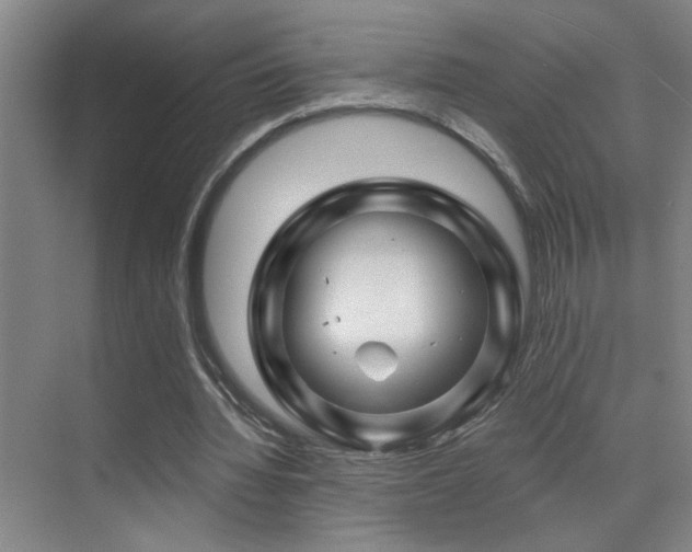 X0000071340436200606231142