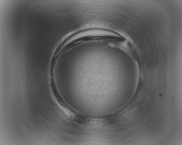 X0000071340438200606231142