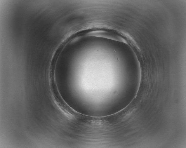 X0000071340439200606231142