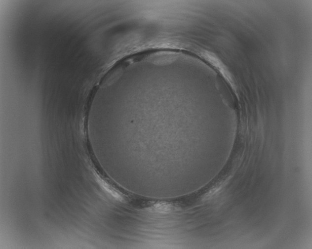 X0000071340441200606231142