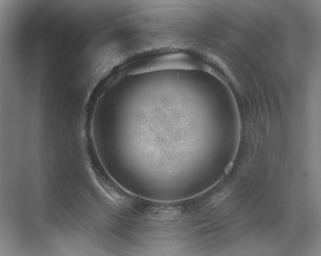 X0000071340443200606231142