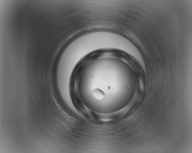 X0000071340444200606231142