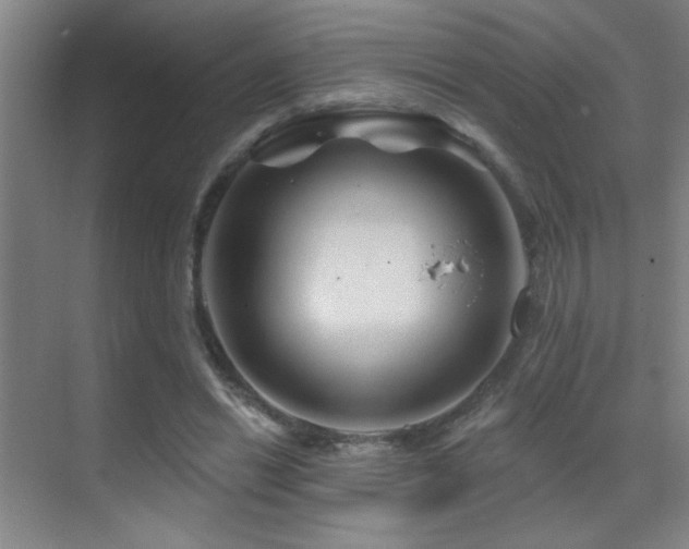 X0000071340446200606231142