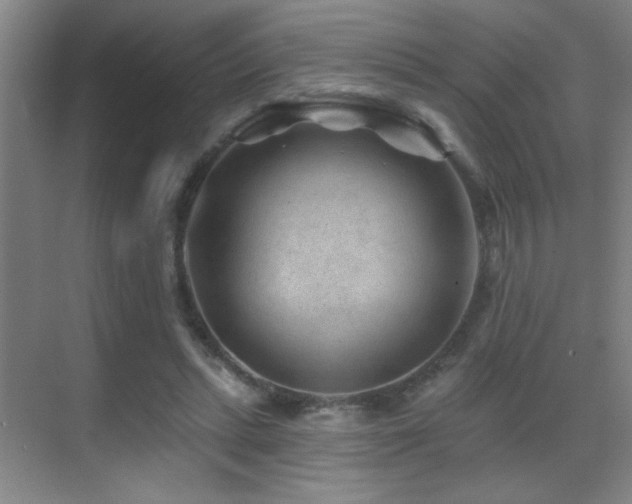 X0000071340447200606231142